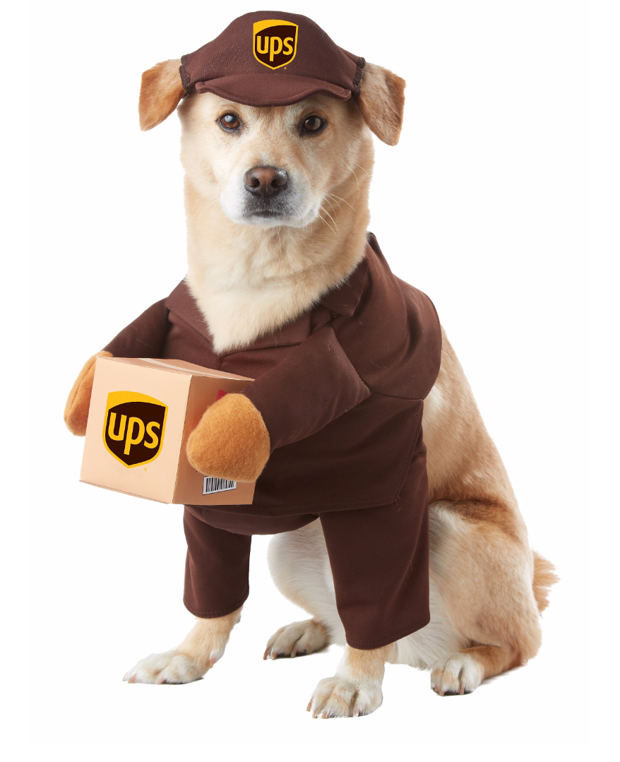 Delivery Dawg - $24.99