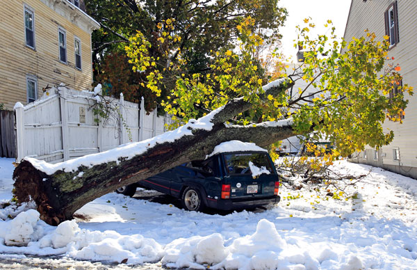 		<p>A large tree falls on top of a car after an early snowfall in Worcester, Massachusetts October 30, 2011. A rare October snowstorm bore down on the heavily populated Northeast on Saturday into Sunday, with some areas bracing for up to a foot of snow a