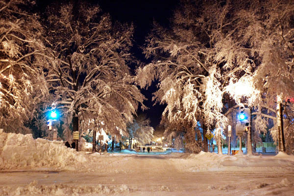 		<p>Trees covered by snow are seen in the Washington night February 6, 2010. A blizzard producing heavy snow and powerful winds pummeled the U.S. mid-Atlantic on Saturday, causing at least two fatalities and paralyzing travel in the region. Local weather