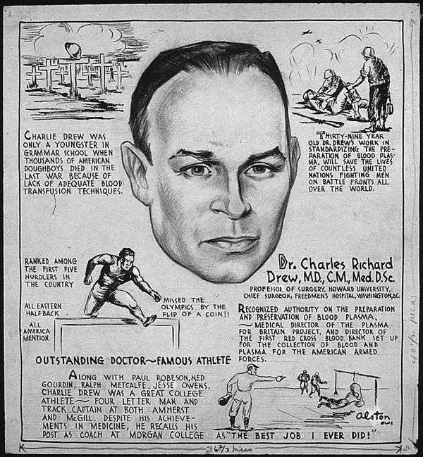 Drew (June 3, 1904 – April 1, 1950) was a physician, surgeon, and medical researcher. He researched in the field of blood transfusions, developing improved techniques for blood storage, and applied his expert knowledge to developing large-scale blood bank