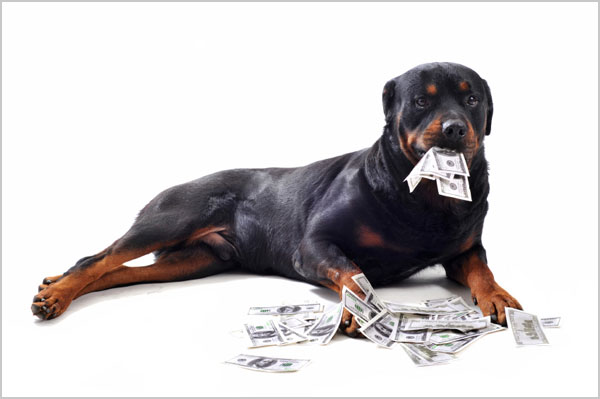 		<p>If you’re a business owner, your security system is tax deductable, but most people don’t realize the deduction can apply to a four-legged friend if you use the animal to protect your business. You may be able to write off the costs of caring for the