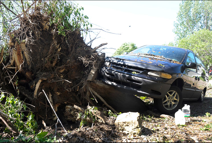 A car damaged by an uprooted tree during a tornado is seen in the southern area of Wichita.