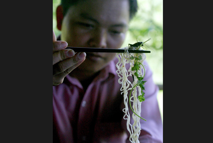 Le Thanh Tung picks up a fried cricket with his noodles at his farm in Ho Chi Minh city September 13, 2006. Breeders of crickets say the insects have became "fingers food for beer drinkers" in an age of increasing prosperity in Vietnam compared with the r