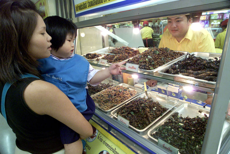 A Thai mother and her daughter stop to buy fried crickets, worms and grasshoppers at one of 31 supermarket outlets of the Insects Inter chain at Bangkok's Central Plaza Shopping Mall in 2002. Insects Inter chain founder Satapol Polprapas watches from behi