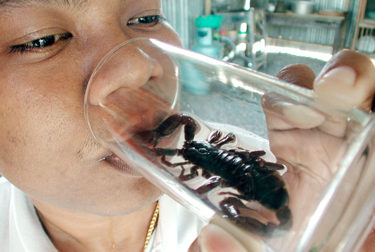 A Thai man poses while drinking a glass of rice wine with a scorpion in the village of Baan Niyomchai in Lopburi province, about 155 miles north of Bangkok, on January 28, 2002. Villagers there are found of wine fermented with scorpions, believing the ins