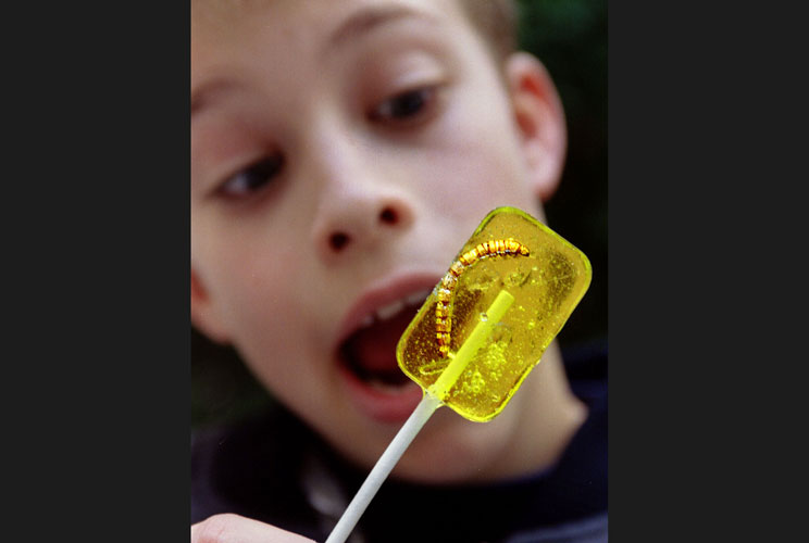 A U.S. firm presented a transparent lollipop with an insect larva inside at Europe's largest food fair in Paris in 1996. A representative for Hotlix, a Texas food supplier, claims that kids like to show them to other kids and treat it like a dare, but als