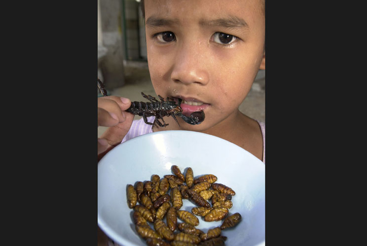 Jarung Zatung, nine, takes a bite of a deep-fried scorpion at a Bangkok "bug" restaurant February 5 over a bowl of deep-fried silkworms, some of many species on the menu that are considered a delicacy. As more Thais learn of some insects' nutritional valu