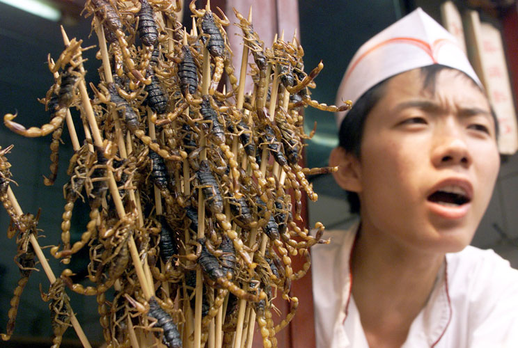 A Chinese cook calls customers to try fried scorpions at an alley in China's capital Beijing August 18, 2002. The scorpion stick sells for 8 yuan each (about one U.S. dollar). China has one of the most diverse cuisines in the world.