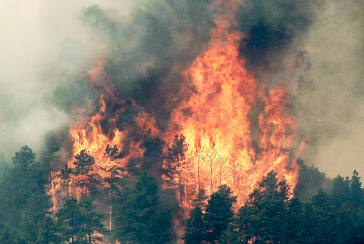 Trees are engulfed in flames in Colorado's High Park Fire, about 15 miles (24 km) northwest of Fort Collins, June 11, 2012. The fire was estimated to be at 37,000 acres, according to the county sheriff on Monday. 