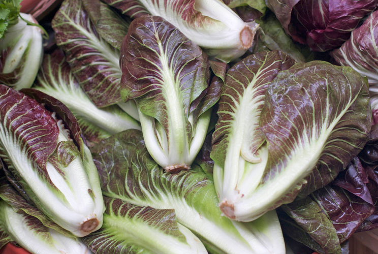 Just as bagged mixed greens have replaced iceberg lettuce in our salads, this type of radicchio has the potential to explode in popularity, author Josh Schonwald writes in "The Taste of Tomorrow." It's not as bitter as other types of radicchio and has a m