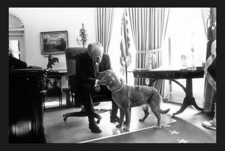 President Gerald Ford gives his golden retriever, Liberty, some attention in the Oval Office.