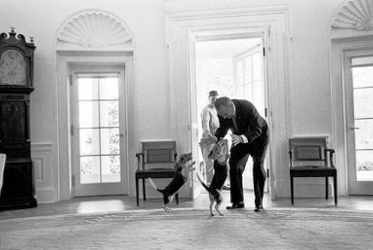 President Lyndon B. Johnson (1963-68) receives a greeting from his beagles, Him and Her. Johnson's beagles made the cover of Life magazine. January 19, 2009.