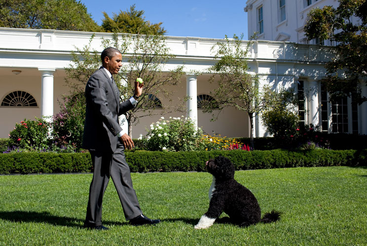 President George W Bush is greeted by his wife First Lady Laura Bush and family dogs Spot and Barney.