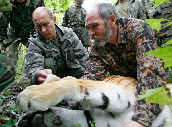 		<p>Serga the tiger -  Serga, the “wild” tiger that Putin infamously shot with a tranquilizer gun in order to “save” a crowd of people before she “attacked,” was actually taken from a Russian zoo and used as a stunt. Serga sadly died after she was unable