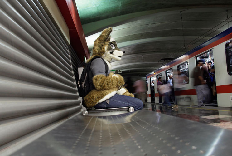 Yote, dressed as a wolf, waits for the metro on his way to the university in Monterrey July 17, 2012. Yote is a member of "Furros Nuevo Leon", whose members dress like wolves. The group is part of the subculture known as furry fandom, furrydom or fur fand