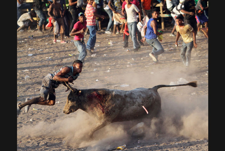 A man is attacked by a bull during a traditional bullfight in Arenal, Bolivar July 22, 2012. 