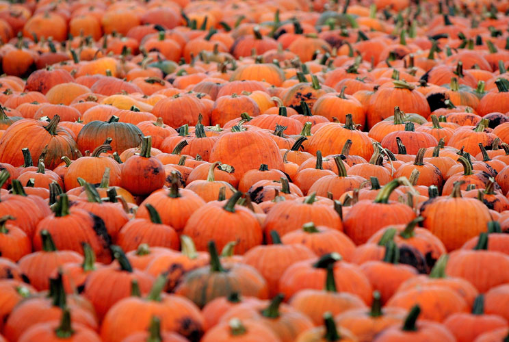 Even with unusual weather patterns in recent years, better organization of farms and improved production practices like no-till planting have boosted U.S. agricultural yields – even while farmers are using fewer inputs. Agricultural productivity has incre