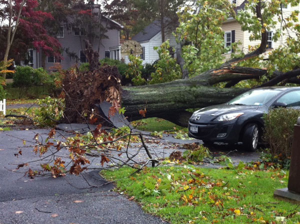 		<p>The aftermath of Hurricane Sandy outside of New York City.</p>