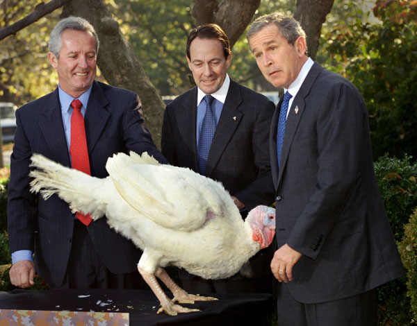 		<p class="p1">President George W. Bush reacts to a Turkey named "Liberty" at the annual turkey pardoning event at the White House, three days ahead of Thanksgiving, November 19, 2001. The fortunate bird will spend the rest of his days on a farm in Virgi