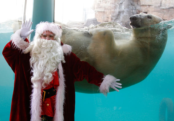 		<p>The polar bear named Rasputin swims in his tank as a man dressed as Santa Claus poses at the Marineland Aquatic Park in Antibes December 11, 2012.</p>