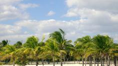 12. Florida
