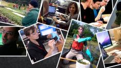 Free labor has migrated beyond college internships, infiltrating almost every creative industry, as well as a handful of more menial ones. It has even crept into this article. (Photos obtained for free via Flickr.)
