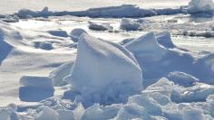 Arctic Ice