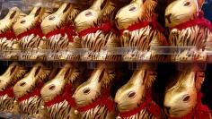 Gold-wrapped Easter chocolate bunnies are displayed during the annual news conference of Swiss chocolatier Lindt & Spruengli in Kilchberg