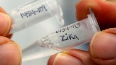 Research scientist Dan Galperin holds vials marked "Zika" at Protein Sciences Inc. where they are working on developing a vaccine for the Zika virus in Meriden