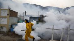 A health worker carries out fumigation as part of preventive measures against the Zika virus and other mosquito-borne diseases at the cemetery of Carabayllo on the outskirts of Lima