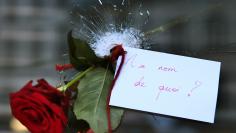 A rose placed in a bullet hole in a restaurant window the day after a series of deadly attacks in Paris 