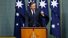 British Prime Minister David Cameron addresses a joint session of the Australian Parliament in Canberra November 14, 2014. REUTERS/David Gray