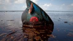 FILE PHOTO: A hard hat from an oil worker lies in oil from the Deepwater Horizon oil spill on East Grand Terre Island, Louisiana June 8, 2010. REUTERS/Lee Celano/File Photo