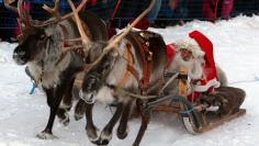 FILE PHOTO: Santas from Sweden and Russia race on their sleighs pulled by reindeers during competition in the Santa Claus Wintergames in northern Swedish town of Gallivare