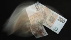 Czech crown banknotes are seen in this picture illustration taken in Prague January 18, 2013.   REUTERS/David W Cerny  