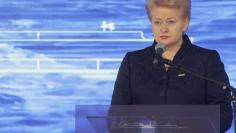 Lithuania's President Dalia Grybauskaite speaks during floating storage regasification unit (FSRU) "Independence" welcome ceremony in Klaipeda port October 27, 2014.  REUTERS/Ints Kalnins 