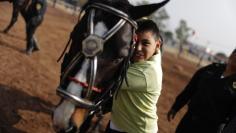 FILE PHOTO: A handicapped child embraces a horse after a session of equine-assisted therapy at the Mounted Police Unit in Mexico City May 15, 2013. Mexico City's Minister of Public Security (SSPDF) runs a free equine-assisted therapy program to help hund