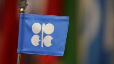 A OPEC flag is seen during the presentation of OPEC's 2013 World Oil Outlook in Vienna , November 7, 2013. REUTERS/Leonhard Foeger