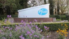 A sign is seen at the Pfizer manufacturing plant in Newbridge, County Kildare, Ireland, November 12, 2015.  REUTERS/Tom Bergin 