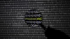 A magnifying glass is held in front of a computer screen in this picture illustration taken in Berlin May 21, 2013.  REUTERS/Pawel Kopczynski/File Photo 
