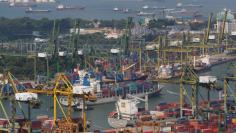 FILE PHOTO: A container ship arrives in a port in Singapore June 28, 2017. Picture taken June 28, 2017. REUTERS/Darren Whiteside 