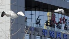 Pigeons fly past the company logo of Sinovel Wind Co., Ltd. outside its head office in Beijing