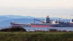 Bulk carriers are filled with coal for export at Roberts Bank Superport in Delta