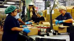 Workers box jars of pasta sauce at a plant run by Chelten House Products in Bridgeport, New Jersey July 27, 2015. REUTERS/Jonathan Spicer - RTX1NDCW