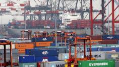 Ships and containers are seen at the Port Newark Container Terminal near New York City in Newark, New Jersey in this picture taken July 2, 2009.  REUTERS/Mike Segar     