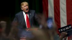 Republican presidential candidate Donald Trump addresses the crowd during a campaign rally in Grand Rapids, Michigan, December 21, 2015. REUTERS/Rebecca Cook