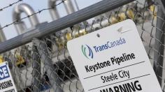 A TransCanada Keystone Pipeline pump station operates outside Steele City, Nebraska March 10, 2014. REUTERS/Lane Hickenbottom