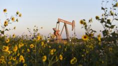 File photo of a pump jack is seen near sunflowers in Guthrie, Oklahoma