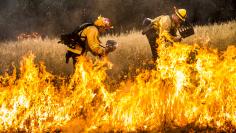 Firefighters work to dig a fire line on the Rocky Fire in Lake County, California