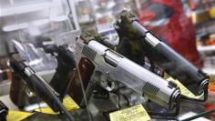Rallies across U.S. assail Obama's proposed gun curbs